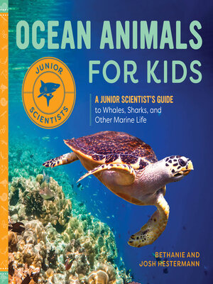 cover image of Ocean Animals for Kids